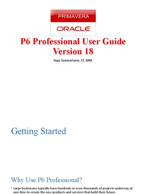 P6 Professional User Guide .